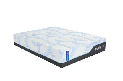WellFlex ICE Memory Foam Mattress