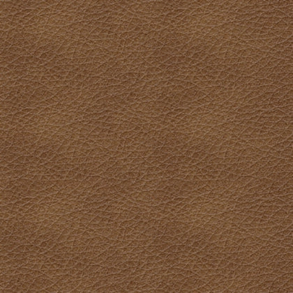 El Paso Sofa and Loveseat