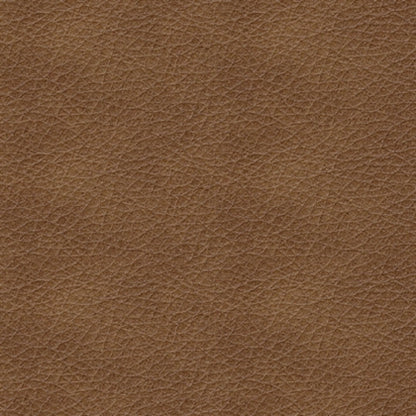 El Paso Sofa and Loveseat