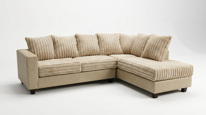 Costa (Bone) Sectional