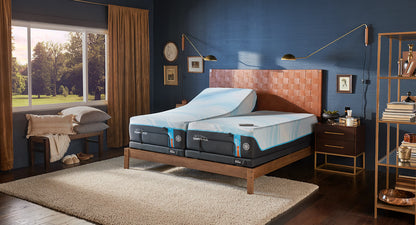 TEMPUR-Ergo Adjustable Base