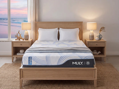 WellFlex ICE Memory Foam Mattress